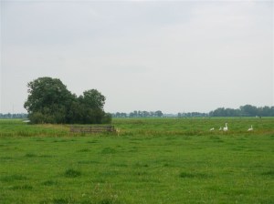 Blog 2014 05 10 plaatje