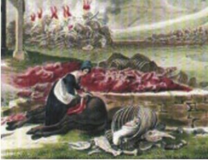 Blog 2014 08 10 plaatje